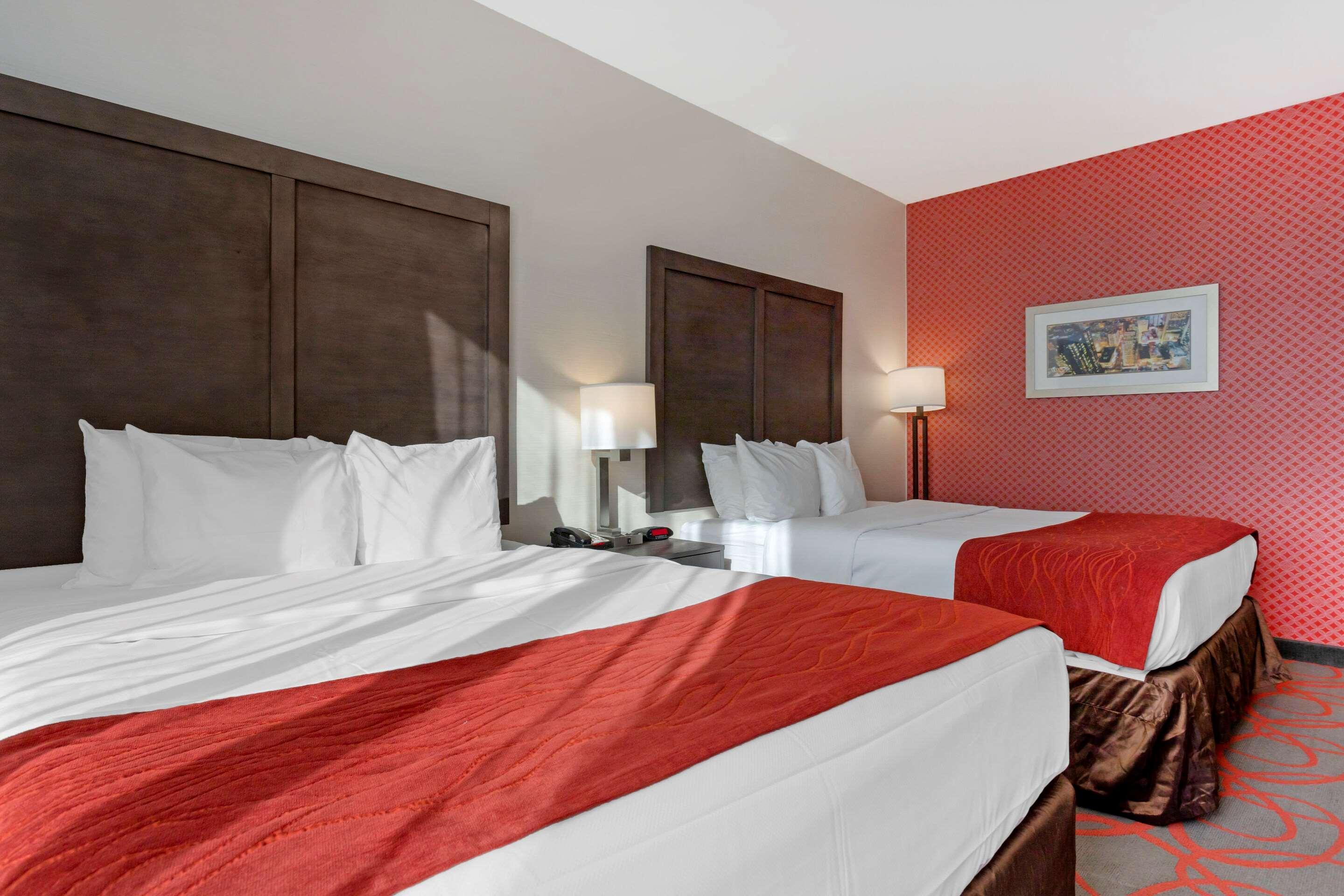 Comfort Inn & Suites Near Stadium New York Dış mekan fotoğraf